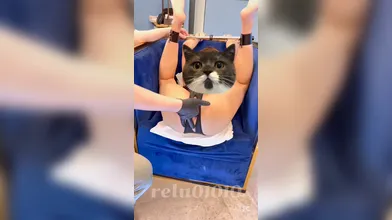 KR TWITTER PORN VIDEOS 00012567