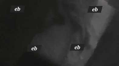 KR TWITTER PORN VIDEOS 00014983