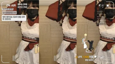KR TWITTER PORN VIDEOS 00103040