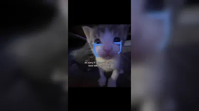 KR TWITTER PORN VIDEOS 00090564