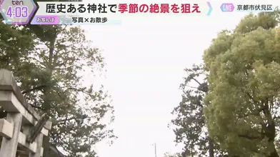 JP TWITTER PORN VIDEOS 00113418