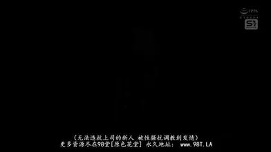 JP NEW 20260426-1416-953