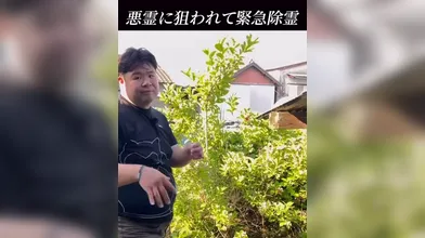 JP TWITTER PORN VIDEOS 00136055