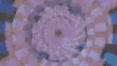 JP NEW 20260512-1540-758