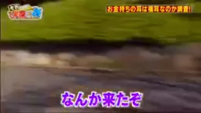 JP NEW 20260515-1340-910