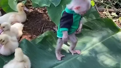 KR TWITTER PORN VIDEOS 00073643