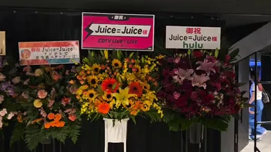 JP NEW 20260527-1441-292