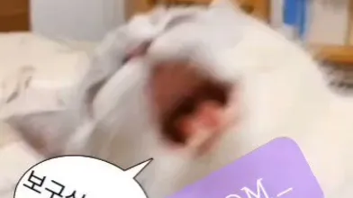 KR TWITTER PORN VIDEOS 00048134
