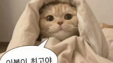 KR TWITTER PORN VIDEOS 00048137