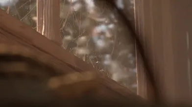 KR TWITTER PORN VIDEOS 00112419