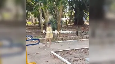 KR TWITTER PORN VIDEOS 00136814