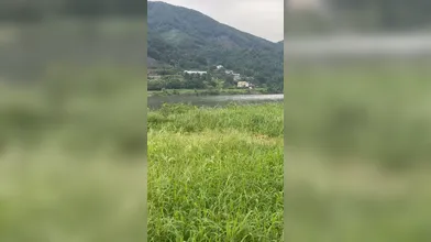 KR TWITTER PORN VIDEOS 00099659