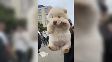 KR TWITTER PORN VIDEOS 00112541