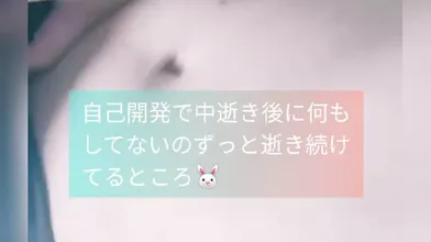 JP NEW 20260607-1240-955
