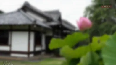 JP NEW 20260607-2140-414