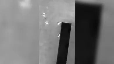 JP NEW 20260608-1840-387