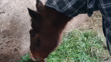 JP NEW 20260609-0540-734