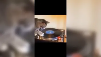 KR TWITTER PORN VIDEOS 00048367