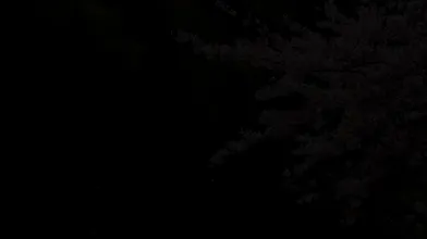 KR TWITTER PORN VIDEOS 00099892