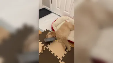 KR TWITTER PORN VIDEOS 00112675