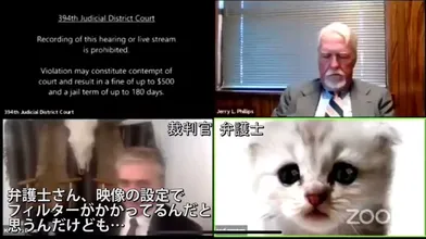JP NEW 20260613-0040-277