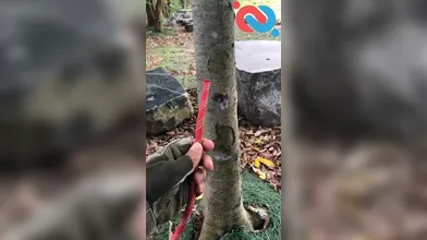 KR TWITTER PORN VIDEOS 00125581