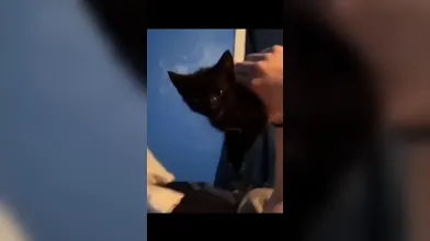 KR TWITTER PORN VIDEOS 00099971