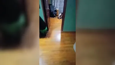 KR TWITTER PORN VIDEOS 00035581