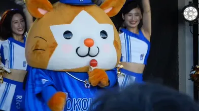 JP TWITTER PORN VIDEOS 00137296