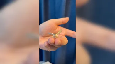 KR TWITTER PORN VIDEOS 00084126