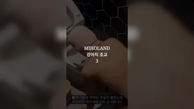KR TWITTER PORN VIDEOS 00084206