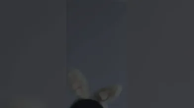 KR TWITTER PORN VIDEOS 00071375