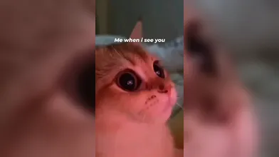 KR TWITTER PORN VIDEOS 00032953