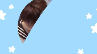 KR TWITTER PORN VIDEOS 00033042