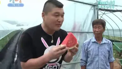 KR TWITTER PORN VIDEOS 00058849