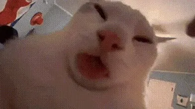 KR TWITTER PORN VIDEOS 00033840