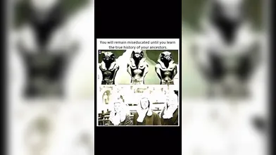 KR TWITTER PORN VIDEOS 00008291