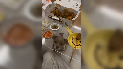 KR TWITTER PORN VIDEOS 00008698