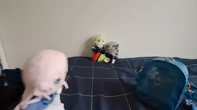 KR TWITTER PORN VIDEOS 00009215