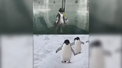 KR TWITTER PORN VIDEOS 00009231