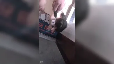 KR TWITTER PORN VIDEOS 00010149