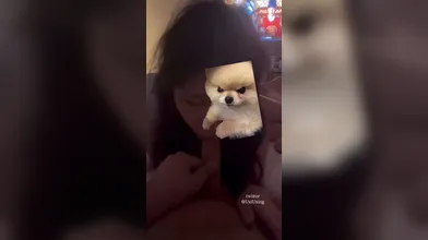 JP TWITTER PORN VIDEOS 00082035