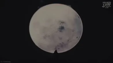 KR TWITTER PORN VIDEOS 00011023
